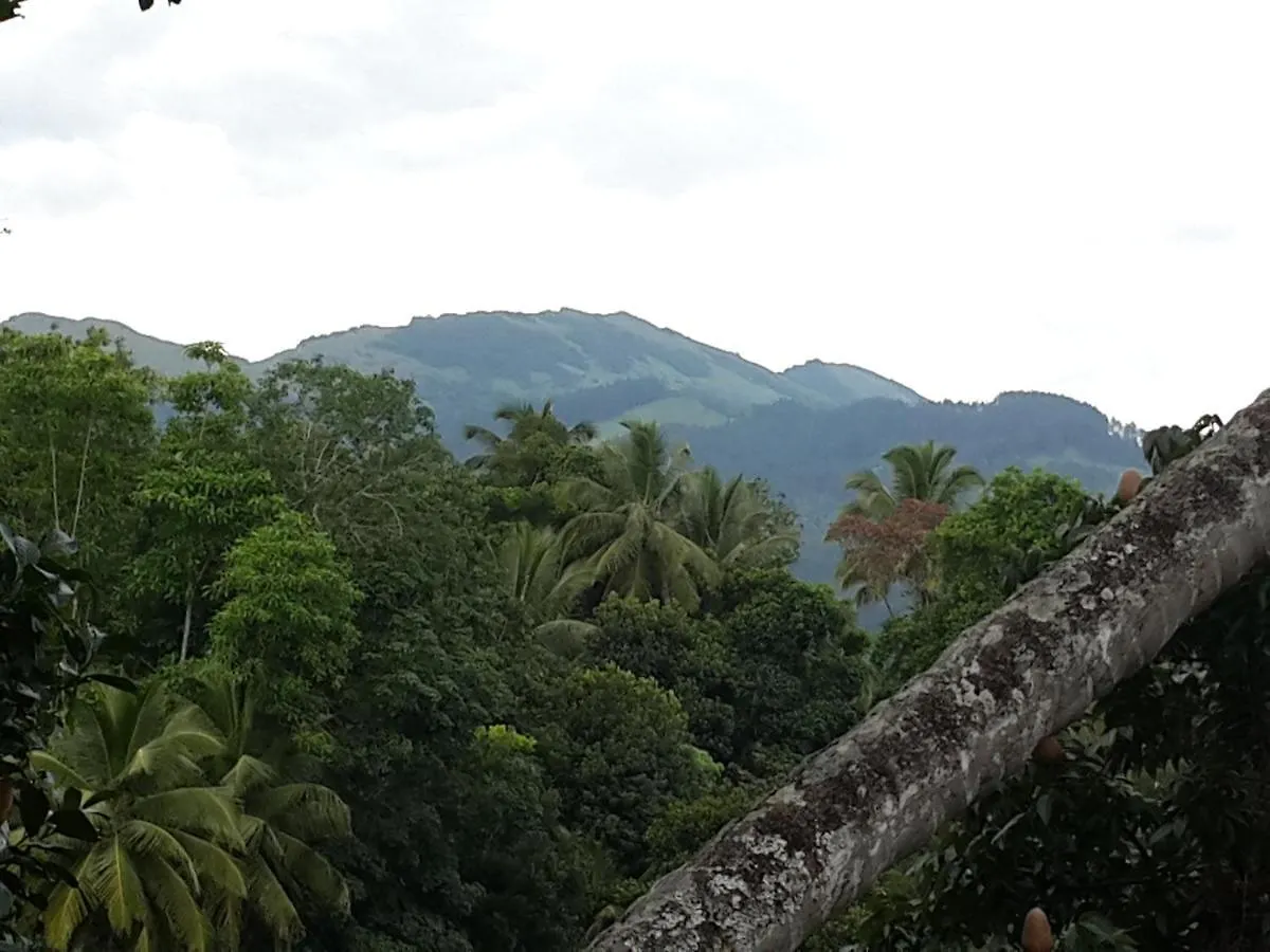 Hanthana View Peradeniya Sri Lanka